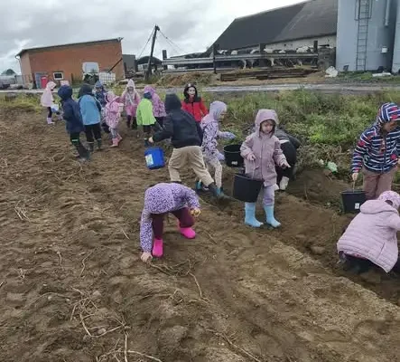 Jesienne wykopki: uczniowie klas 1A, 1B i 2A na lekcji w terenie