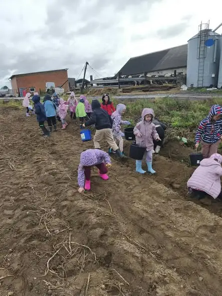 Jesienne wykopki: uczniowie klas 1A, 1B i 2A na lekcji w terenie