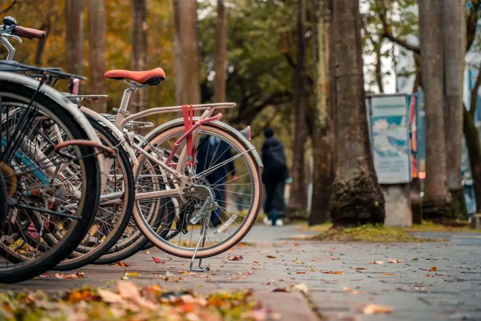 Kamień Krajeński: unijne wsparcie na bezpieczną ścieżkę pieszo-rowerową do hali sportowej